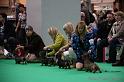 Crufts2011_2 1397